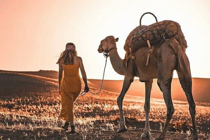 Day Trip to Agafay, Takerkoust & Atlas Valleys: Camel Ride and Berber Village Visit