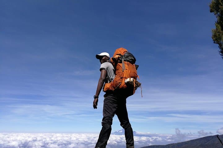 Summit Kilimanjaro via the Lemosho Route: 7-Day Trek to Uhuru Peak photo 2