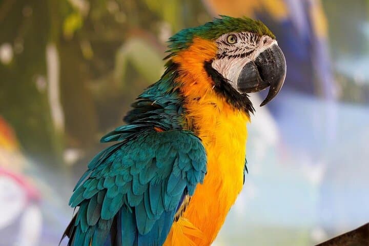 Africano Park Alexandria Safari: Full-Day Open-Zoo Adventure from Cairo photo 2