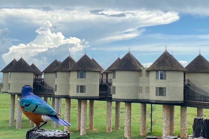 2-Day Private Tsavo East & Taita Hills Salt Lick Safari photo 2