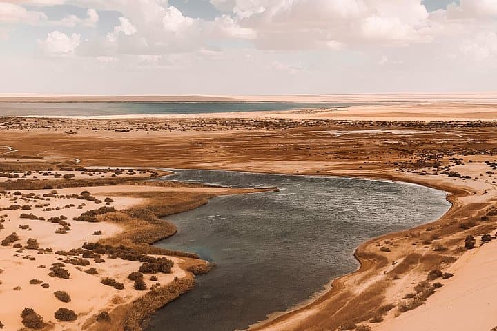 Fayoum Full-Day Birding in Wadi El Rayan and Lake Qarun photo 4
