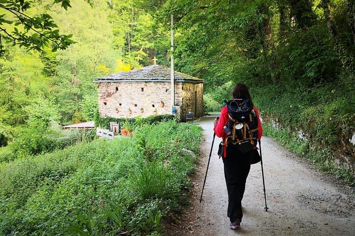 Walking the Last 100km of the Camino de Santiago: Sarria to Santiago de Compostela Guide photo 3