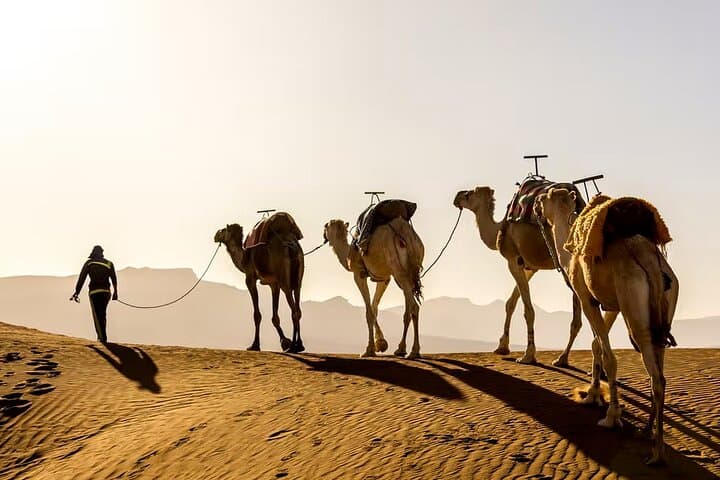 Sunset Safari: Camel Ride in Agafay Desert Near Marrakech