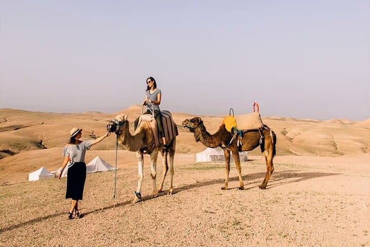 Sunset Safari: Camel Ride in Agafay Desert Near Marrakech photo 2