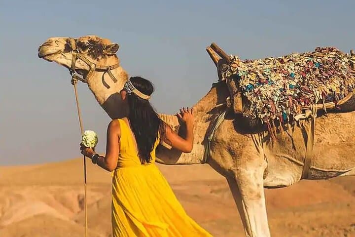Sunset Safari: Camel Ride in Agafay Desert Near Marrakech photo 3