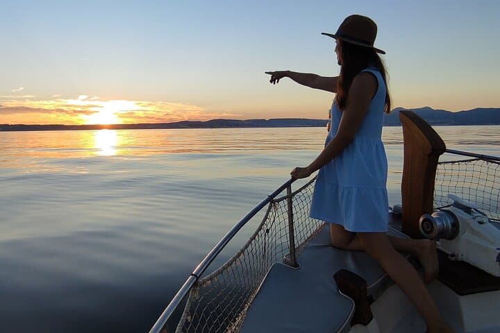 Sunset Boat Trip in Estepona Bay: Cava, Tapas & Dolphin Watching photo 5