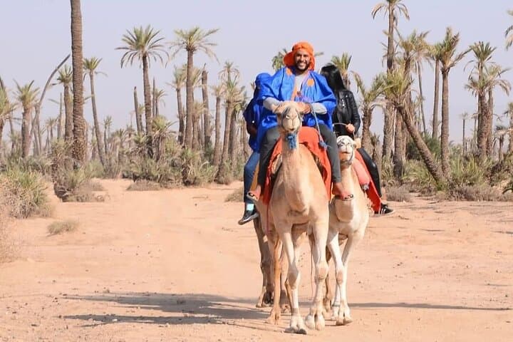 Sunset Camel Ride in the Marrakech Palmeraie — Palm Grove Dromedary Experience