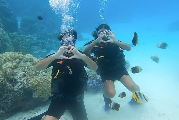 Bora Bora Romantic Beginner Scuba Dive with Video and Pearl Keepsake photo 3
