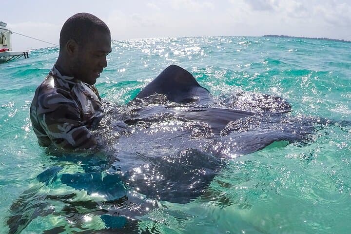Half-Day Private Stingray City Charter Grand Cayman — Snorkel & Starfish Beach photo 3