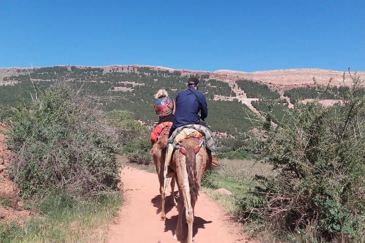 Atlas Mountains Day Trip from Marrakech with Camel Ride and Berber Lunch photo 2