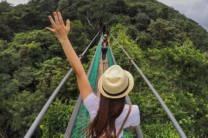 Ixpanpajul Jungle Adventure: Hanging Bridges, Zip Lines & Trails from Flores