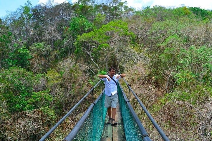Ixpanpajul Jungle Adventure: Hanging Bridges, Zip Lines & Trails from Flores photo 6