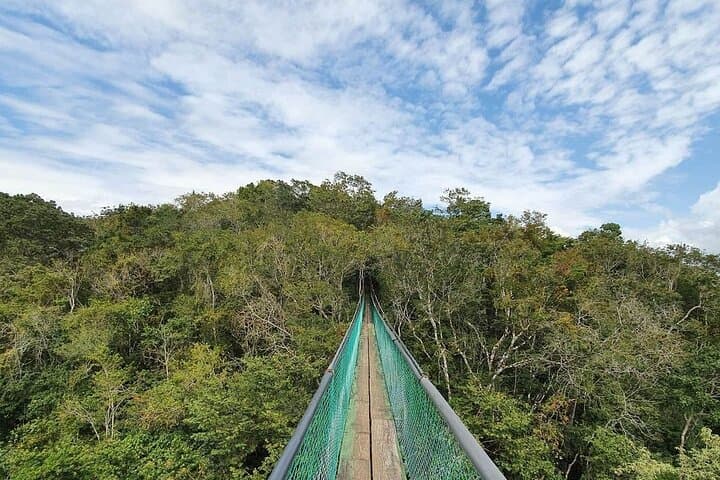 Ixpanpajul Jungle Adventure: Hanging Bridges, Zip Lines & Trails from Flores photo 3