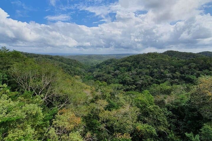 Ixpanpajul Jungle Adventure: Hanging Bridges, Zip Lines & Trails from Flores photo 5