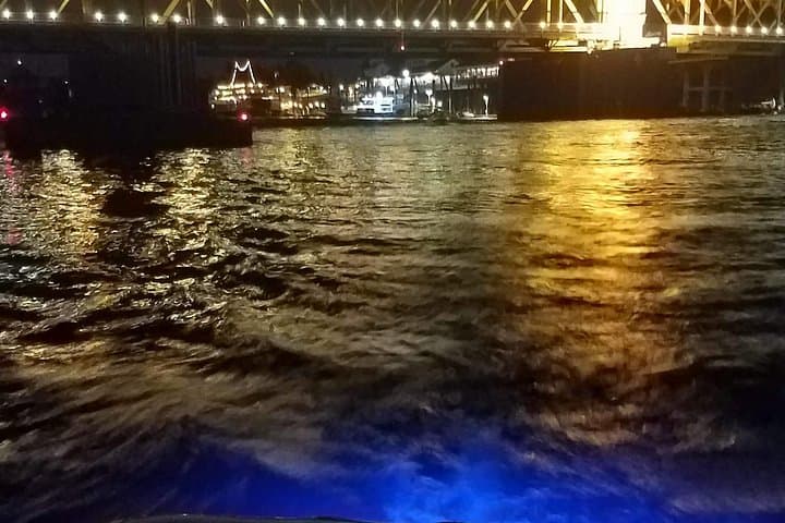 Private Concert Cruise on the Sacramento River: Evening Music & Custom Docking photo 2