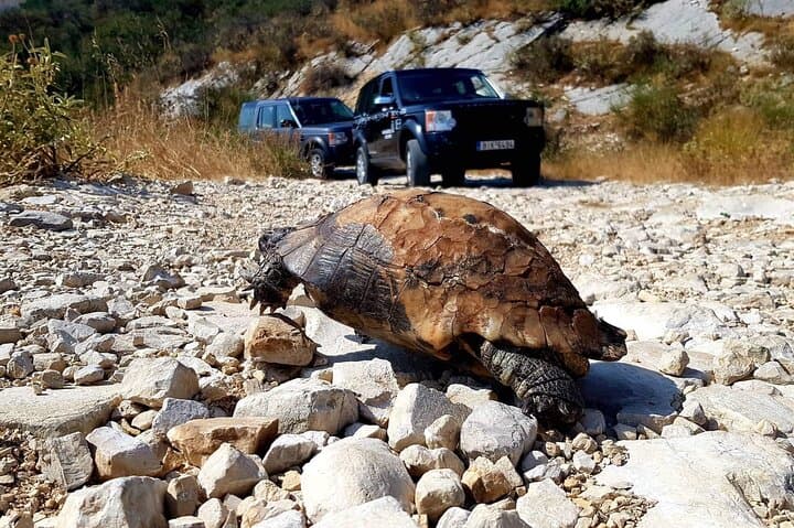 Northwest Corfu 4x4 Safari: Loggas Cliffs, Afionas Views & Olive Oil Tasting