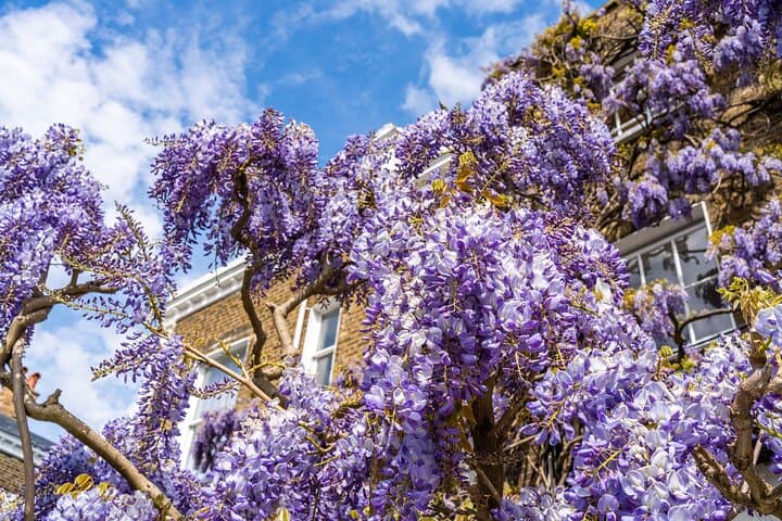 Kensington Secrets Interactive Treasure Hunt — Self-Guided Riddle Walk in London