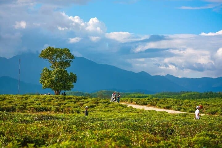 Spring Tea Hills & Co Tu Culture: A Private Day Tour to Dong Giang from Da Nang photo 1