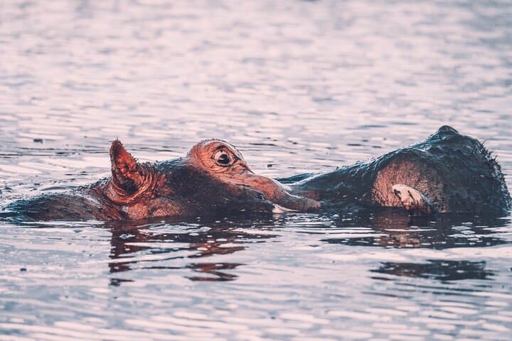 3-Day Budget Safari in Tanzania: Tarangire, Ngorongoro & Lake Manyara photo 2