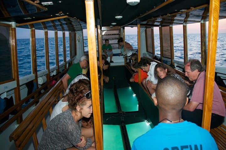 Bermuda Triangle Twilight Cruise: Glass-Bottom Night Sail from Hamilton photo 4