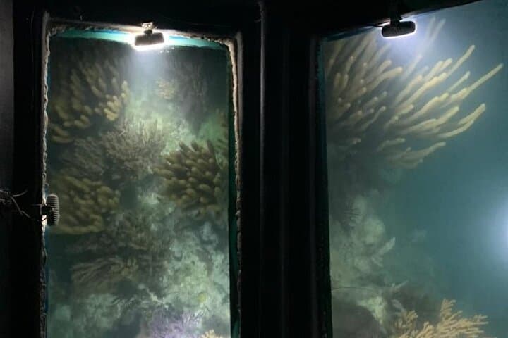 Bermuda Triangle Twilight Cruise: Glass-Bottom Night Sail from Hamilton photo 5