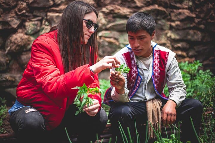 Personalized Peru Food & Culture Journey: Barranco, Rooftop Pisco Class, and Local Flavors