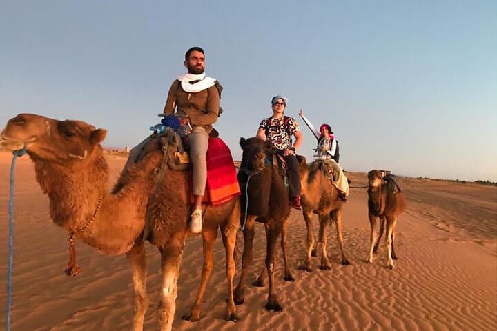 Merzouga Camel Trek & Overnight: Sunset Dunes, Berber Camp and Sandsurfing