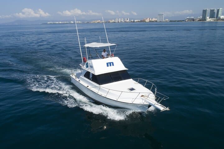 Exploring Bahía de Banderas by Bertram 38: Snorkel, Fish and Sightsee from Puerto Vallarta photo 2