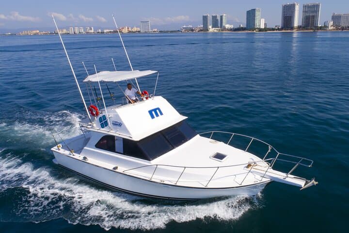 Exploring Bahía de Banderas by Bertram 38: Snorkel, Fish and Sightsee from Puerto Vallarta