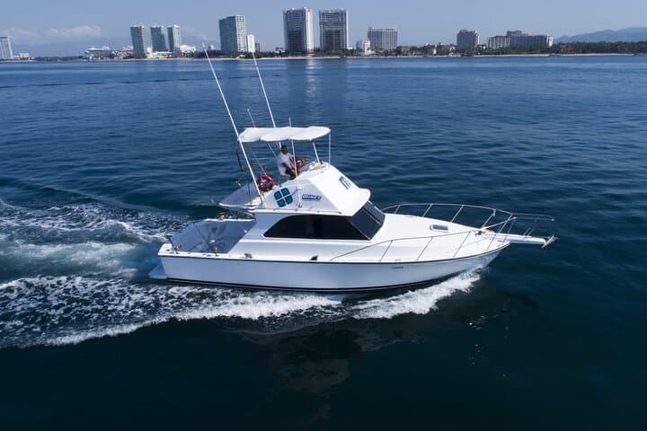 Exploring Bahía de Banderas by Bertram 38: Snorkel, Fish and Sightsee from Puerto Vallarta photo 3