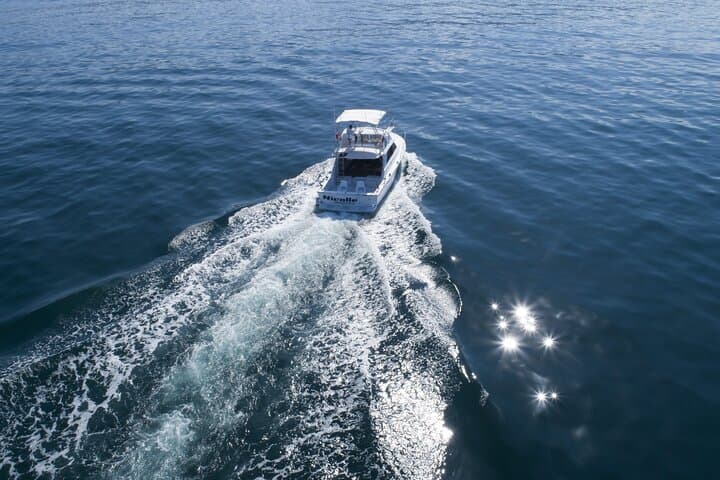 Exploring Bahía de Banderas by Bertram 38: Snorkel, Fish and Sightsee from Puerto Vallarta photo 4