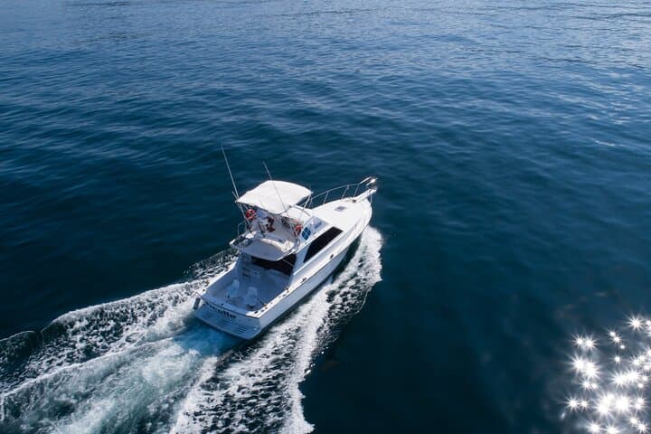Exploring Bahía de Banderas by Bertram 38: Snorkel, Fish and Sightsee from Puerto Vallarta photo 5