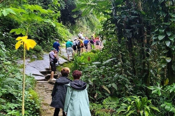 Gold Trail (Caminho do Ouro) Walking Tour — Paraty Guided Hike in Serra da Bocaina photo 4
