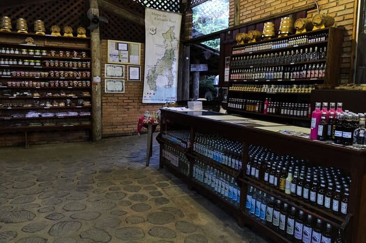 Gold Trail (Caminho do Ouro) Walking Tour — Paraty Guided Hike in Serra da Bocaina photo 5