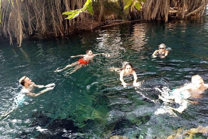 Materuni Waterfalls, Coffee & Kikuletwa Hot Springs — Full-Day Private Tour from Moshi photo 3