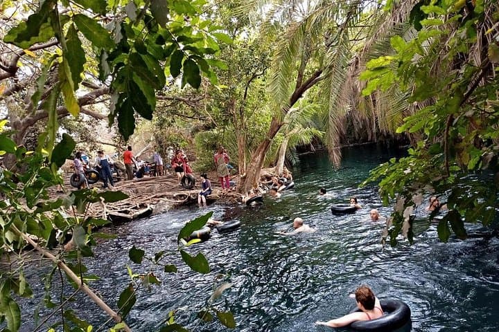 Materuni Waterfalls, Coffee & Kikuletwa Hot Springs — Full-Day Private Tour from Moshi photo 4