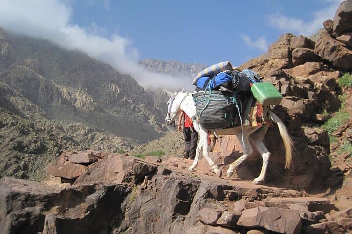 Two-Day Toubkal Trek from Marrakesh — Summit Jbel Toubkal (4167 m) photo 3
