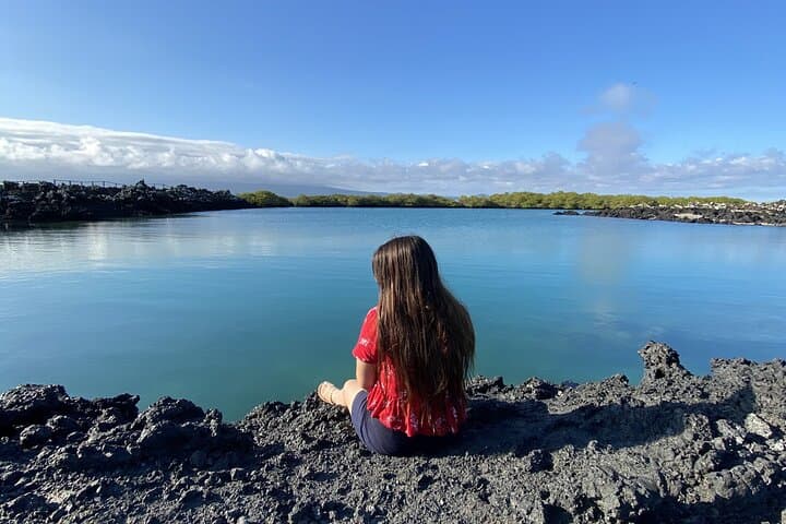 Snorkeling Las Tintoreras: Galápagos Wildlife & Short Island Walk from Puerto Villamil