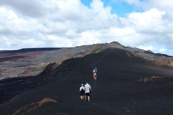 Hiking Sierra Negra Volcano: Isabela’s Giant Crater Trek