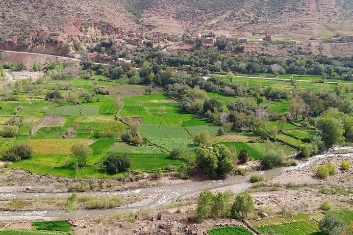 Zat Valley & Atlas Mountains Private Day Trip from Marrakech — Berber Villages, Argan Oil & Mule Ride photo 6