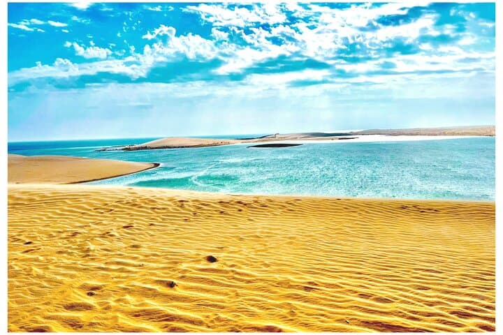 Qatar Desert Safari: Camel Ride, Sandboarding & Inland Sea Visit photo 4
