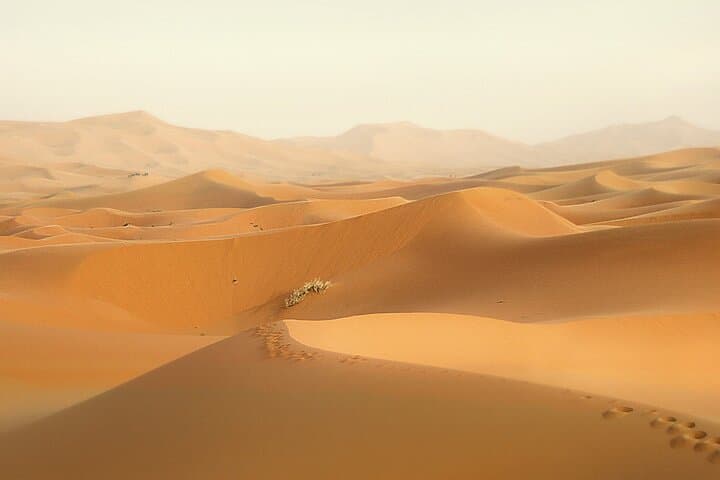 4-Day Merzouga Desert Circuit from Marrakech — Camel Bivouac, Dades & Ouarzazate photo 5