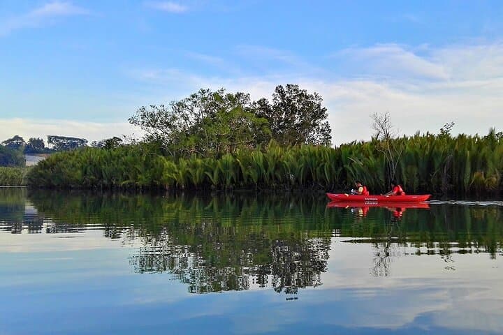 Bohol Firefly Cruise: Night Mangrove Boat Tour on the Abatan River photo 5