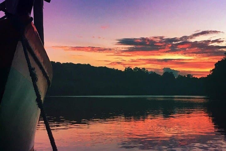Bohol Firefly Cruise: Night Mangrove Boat Tour on the Abatan River photo 6