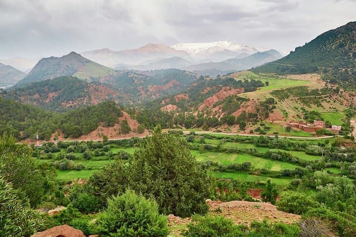 Zat Valley & Atlas Mountains Private Day Trip from Marrakech — Berber Villages, Argan Oil & Mule Ride