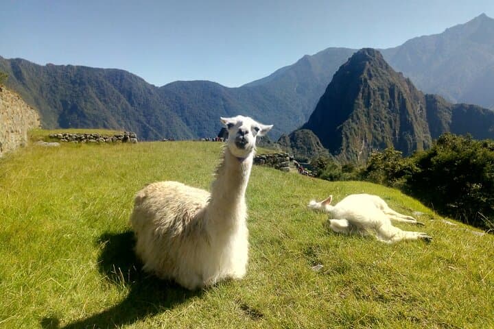 Short Inca Trail & Rainbow Mountain: 4-Day Sacred Valley Hike from Cusco