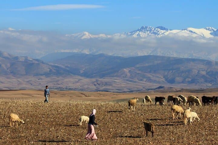 Agafay Desert Half-Day Quad Bike and Camel Ride from Marrakech photo 6