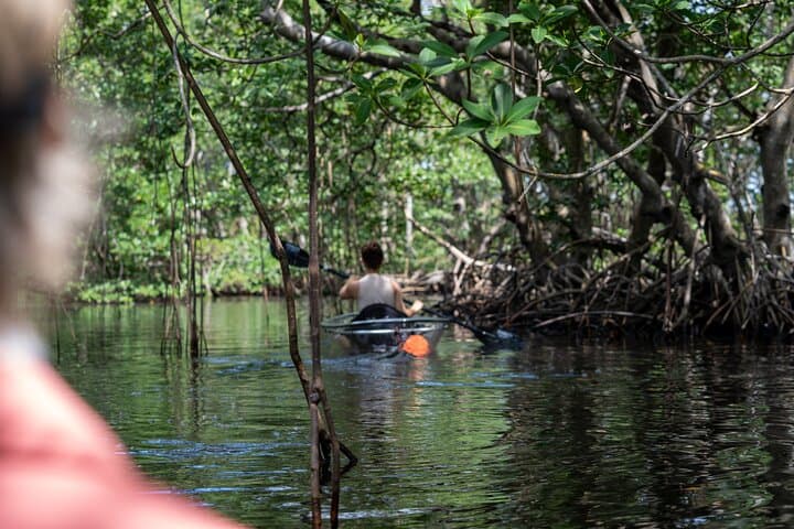 Clear Kayaking North Miami Beach: Mangrove Tunnels and Urban Wild Waters photo 2
