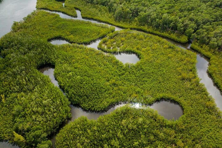 Clear Kayaking North Miami Beach: Mangrove Tunnels and Urban Wild Waters photo 3