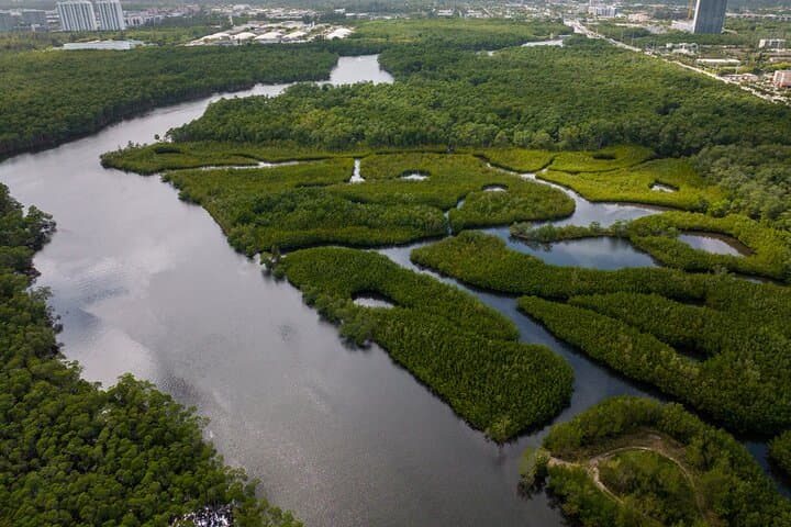 Clear Kayaking North Miami Beach: Mangrove Tunnels and Urban Wild Waters photo 4